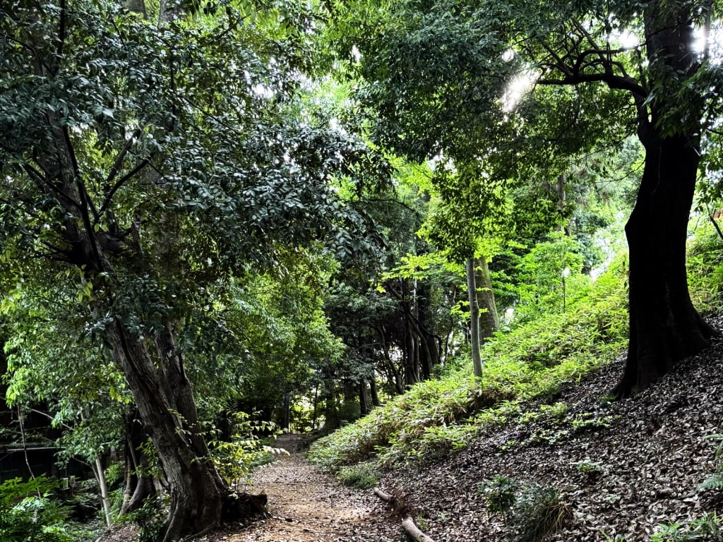 喜多院