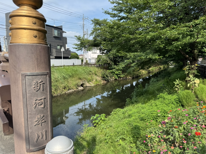 Shingashi River